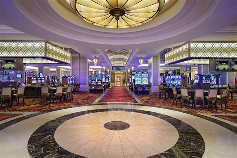 Tampa casino hard rock - Now $331 (Was $̶4̶1̶9̶) on Tripadvisor: Seminole Hard Rock Hotel & Casino Tampa, Tampa. See 1,806 traveler reviews, 466 candid photos, and great deals for …